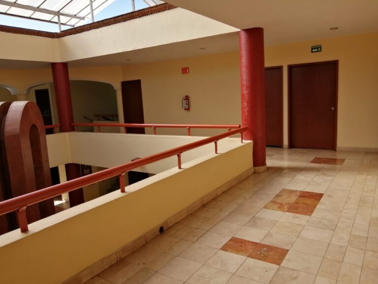 WhatsApp Image 2019-08-12 at 10.42.23 (1)